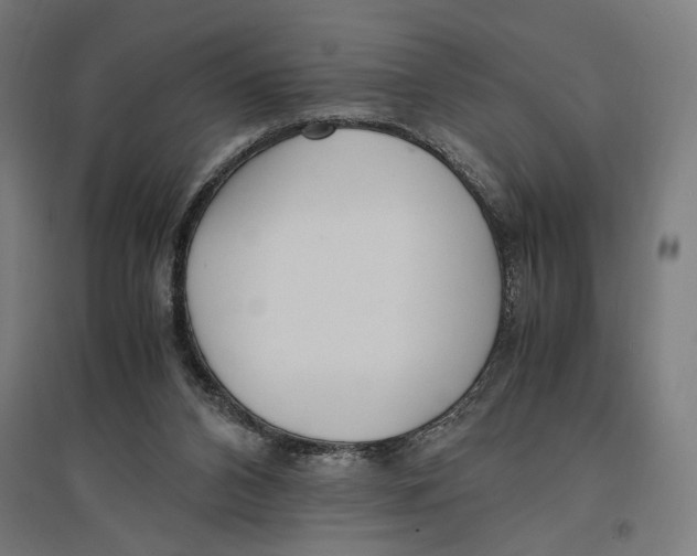 X0000096730112200803041231