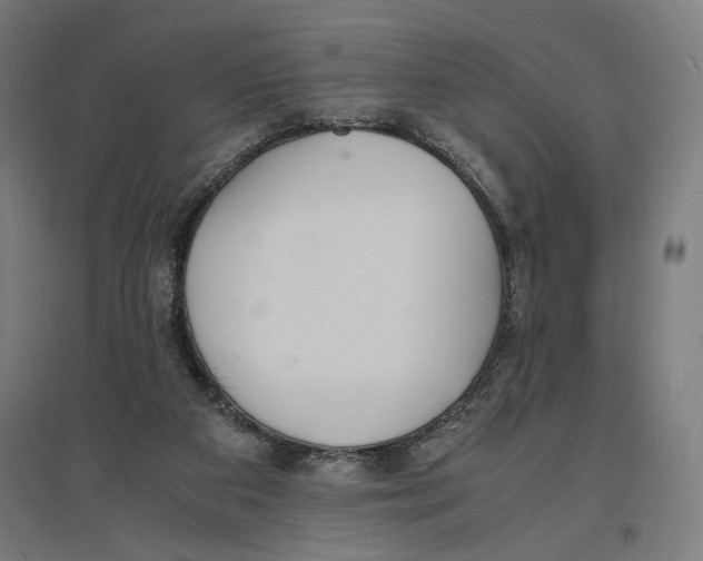 X0000096730113200803041231