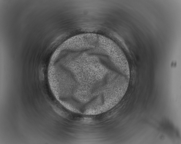 X0000096730114200803041231