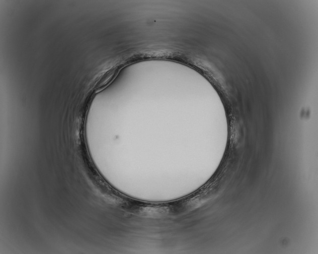 X0000096730115200803041231