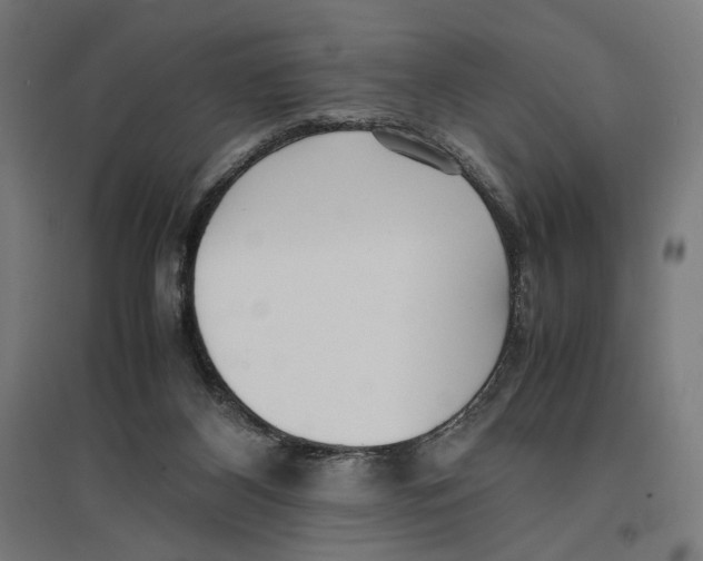 X0000096730116200803041231