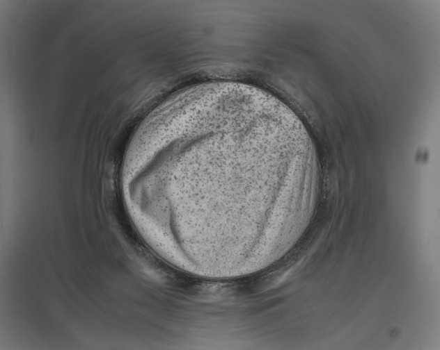 X0000096730117200803041231