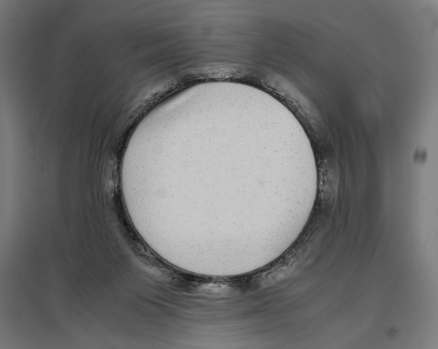 X0000096730119200803041231