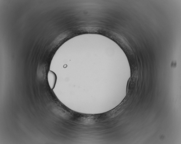 X0000096730120200803041231