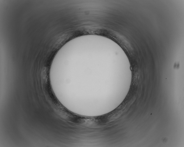 X0000096730121200803041231