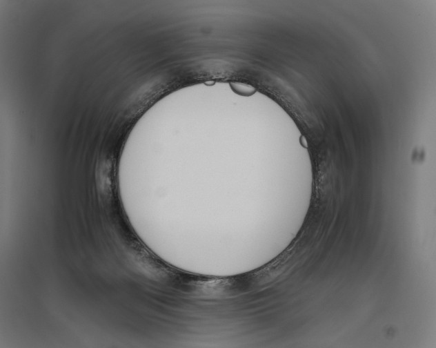 X0000096730122200803041231