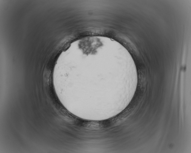 X0000096730123200803041231