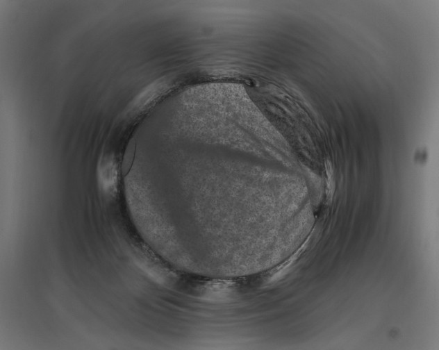 X0000096730124200803041231