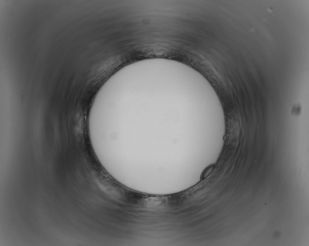 X0000096730126200803041231