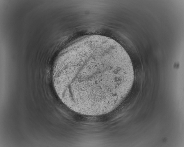 X0000096730127200803041231