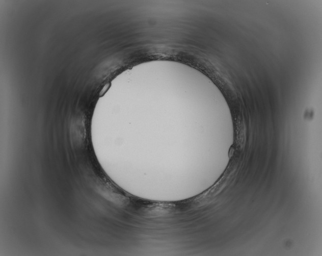 X0000096730128200803041231
