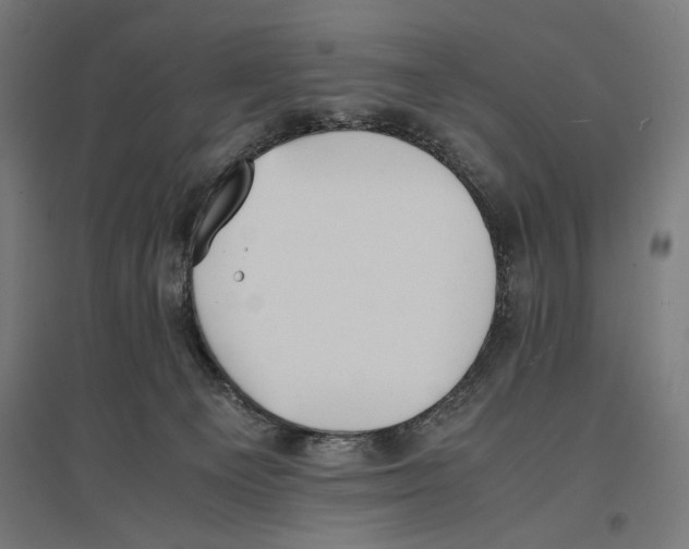 X0000096730129200803041231