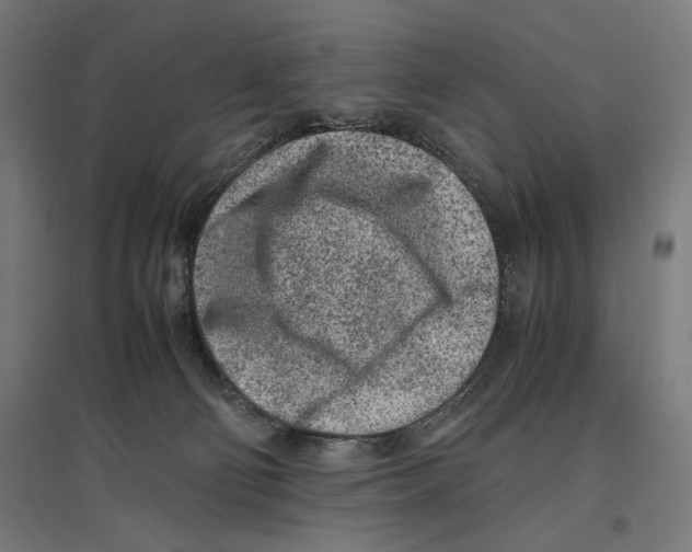 X0000096730130200803041231