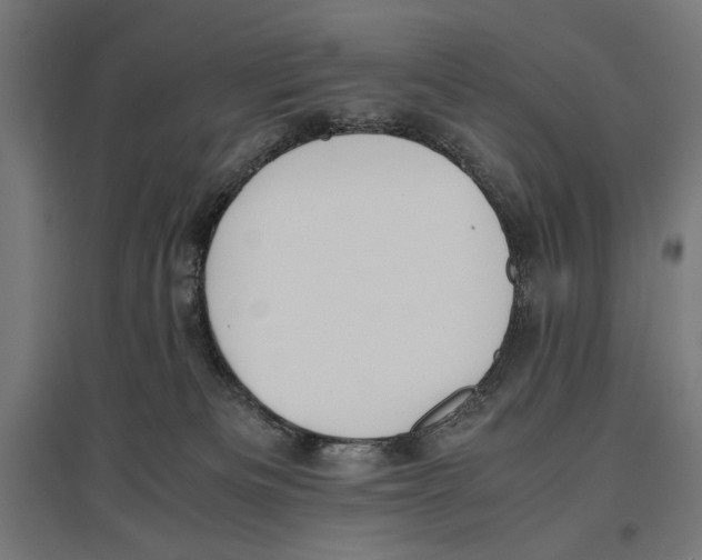 X0000096730133200803041231