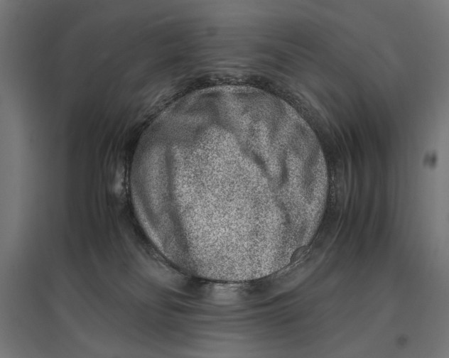 X0000096730134200803041231