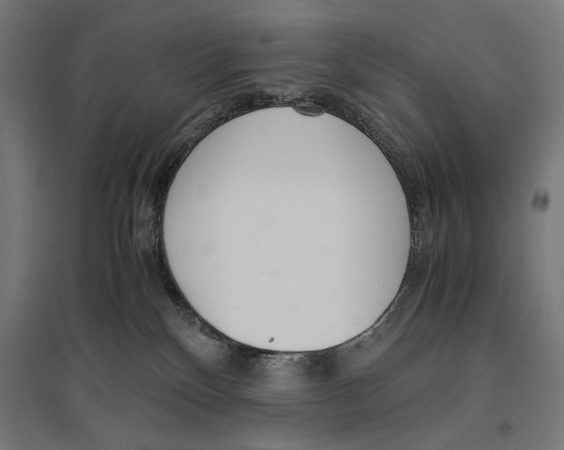 X0000096730136200803041231
