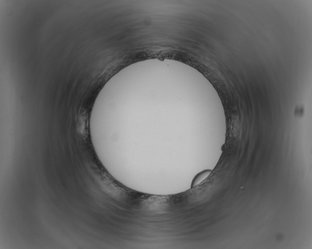 X0000096730138200803041231