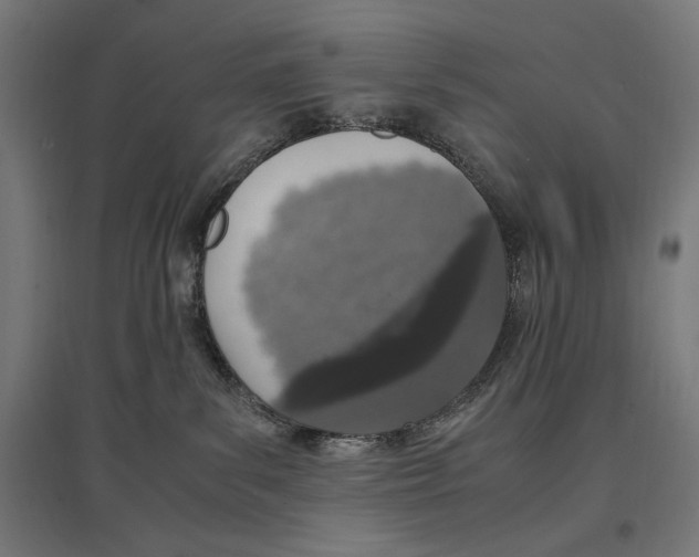 X0000096730139200803041231