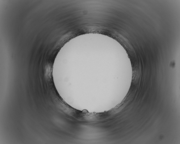 X0000096730142200803041231