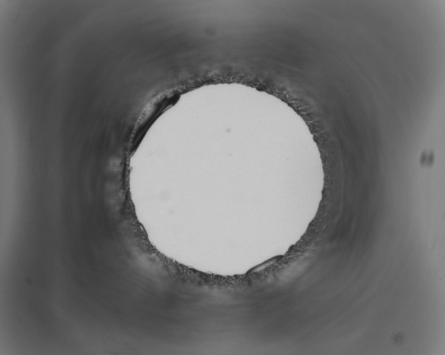 X0000096730144200803041231