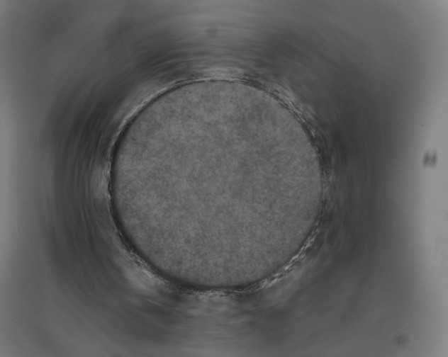 X0000096730146200803041230