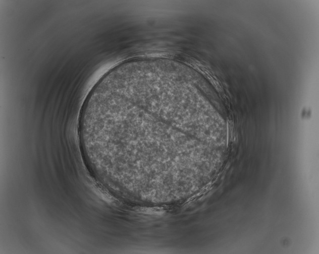 X0000096730147200803041230