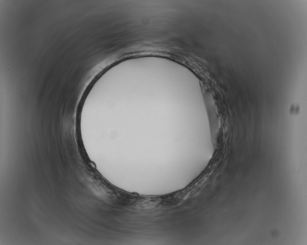 X0000096730148200803041230