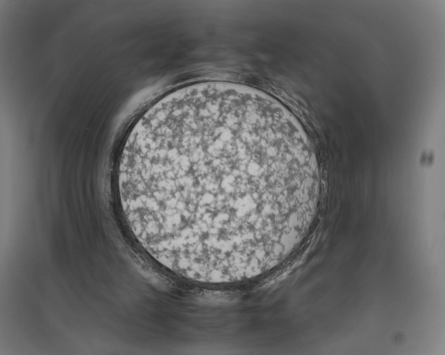 X0000096730149200803041230