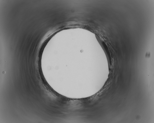 X0000096730150200803041230