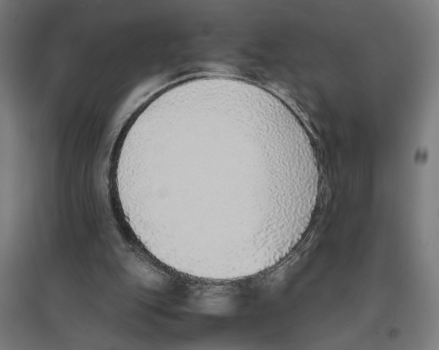 X0000096730151200803041230