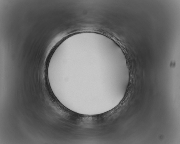 X0000096730152200803041230