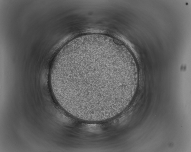 X0000096730153200803041230
