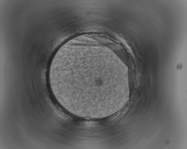 X0000096730154200803041230