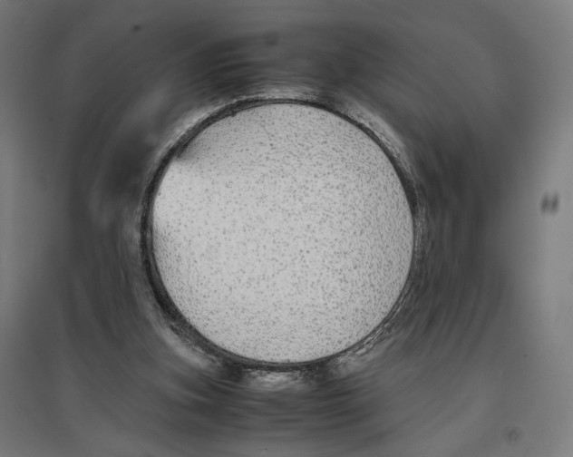 X0000096730155200803041230