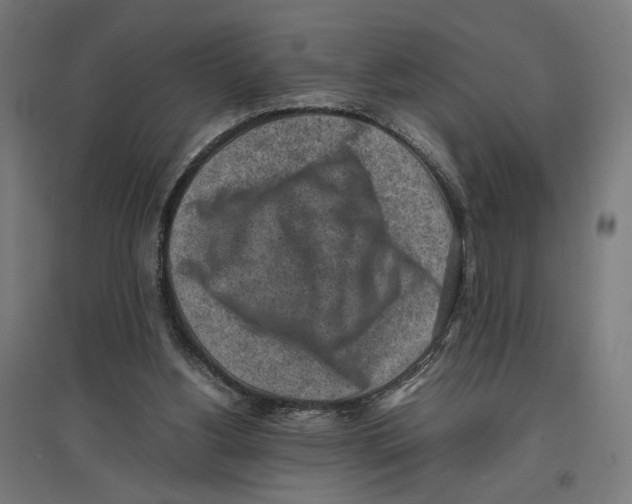 X0000096730156200803041230