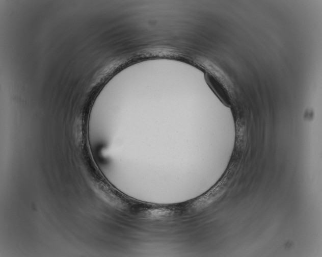 X0000096730158200803041230
