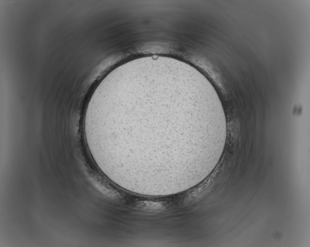 X0000096730159200803041230