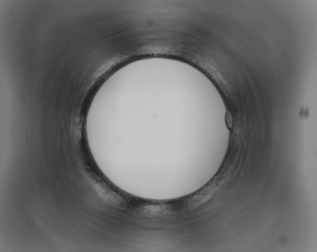 X0000096730160200803041230