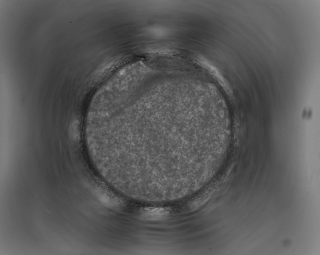 X0000096730161200803041230