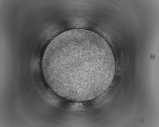 X0000096730162200803041230