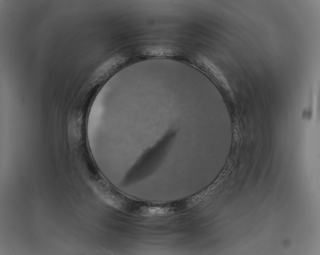 X0000096730163200803041230