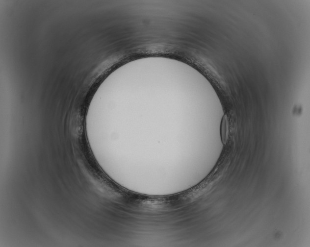 X0000096730164200803041230