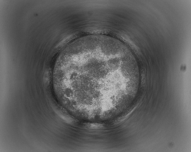 X0000096730165200803041230