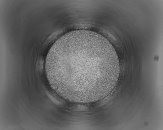 X0000096730166200803041230