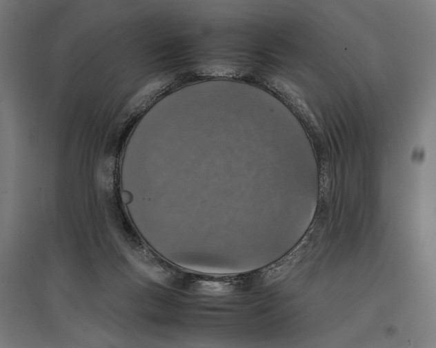 X0000096730167200803041230