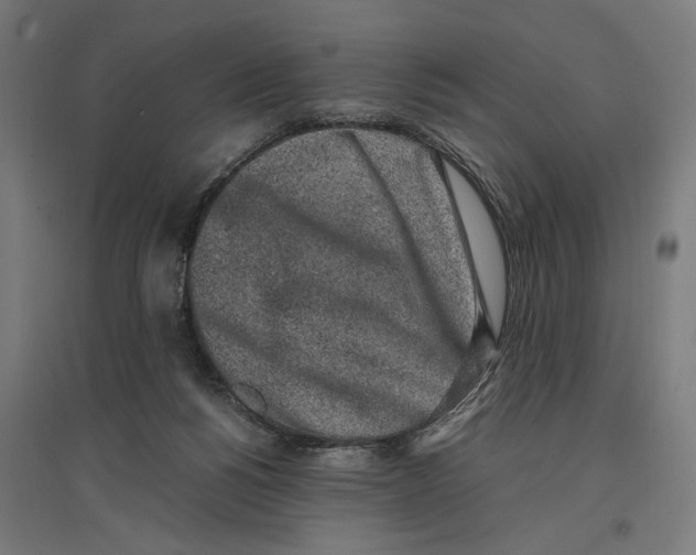 X0000096730168200803041230