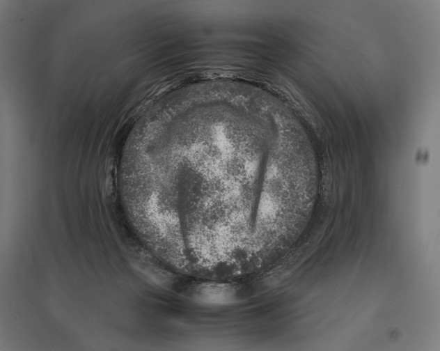 X0000096730169200803041230