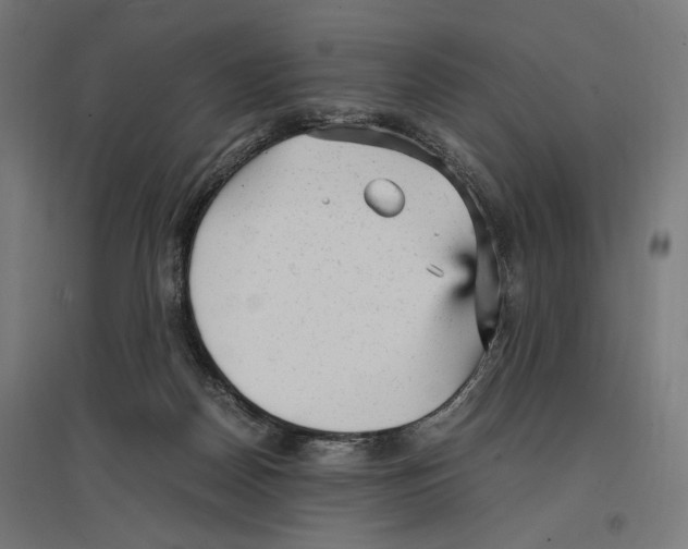 X0000096730170200803041230