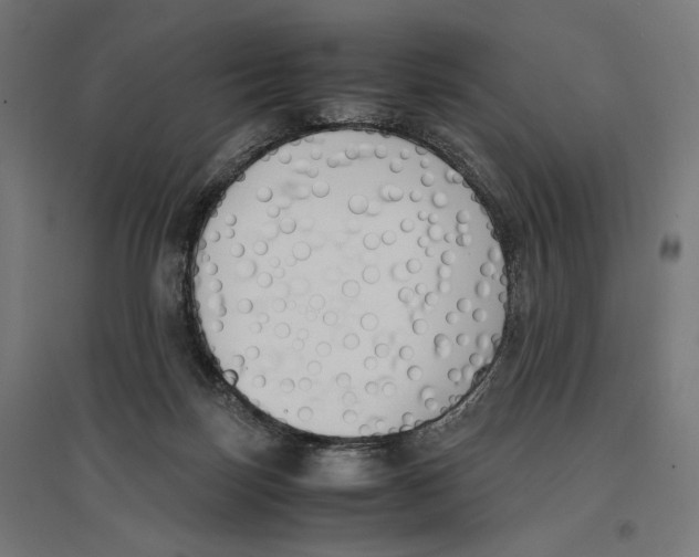 X0000096730171200803041230