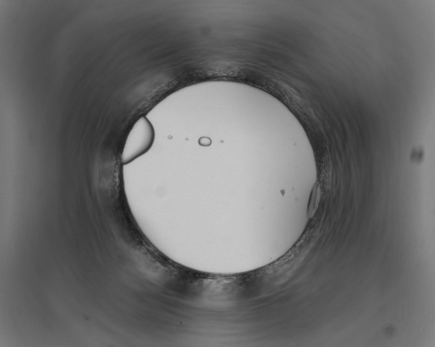 X0000096730172200803041230
